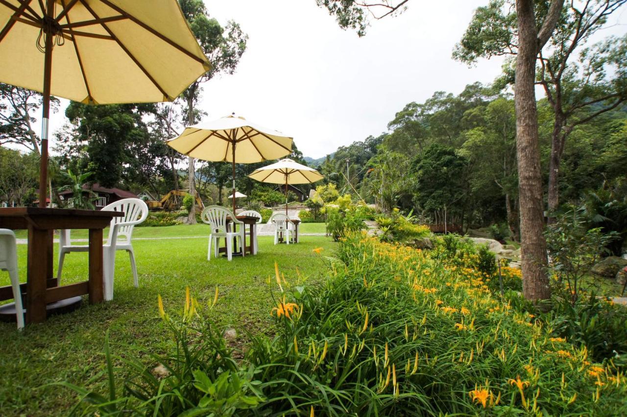 Hemerocallis Country House Nancsuang Kültér fotó